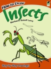 How to Draw Insects - Book