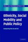 Ethnicity, Social Mobility, and Public Policy : Comparing the USA and UK - eBook