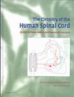 Circuitry of the Human Spinal Cord : Its Role in Motor Control and Movement Disorders - eBook