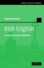 Irish English : History and Present-Day Forms - eBook