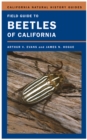 Field Guide to Beetles of California - eBook