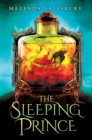 The Sleeping Prince - eBook