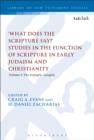 What Does the Scripture Say?' Studies in the Function of Scripture in Early Judaism and Christianity : Volume 1: the Synoptic Gospels - eBook