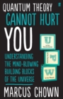 Quantum Theory Cannot Hurt You : A Guide to the Universe - eBook