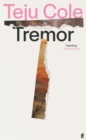 Tremor : 'Dazzling.' Deborah Levy - eBook