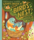 What's Inside A Bird's Nest? : And Other Questions About Nature & Life Cycles - Book