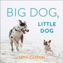 Big Dog, Little Dog - Book