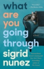 What Are You Going Through - eBook