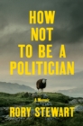 How Not to Be a Politician - eBook