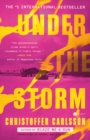 Under the Storm - eBook