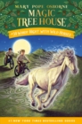 Windy Night with Wild Horses - eBook
