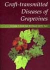 Graft-transmitted Diseases of Grapevines - eBook