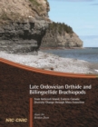 Late Ordovician orthide and billingsellide brachiopods from Anticosti Island, eastern Canada - eBook