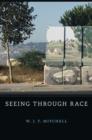 Seeing Through Race - eBook