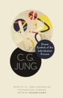 Dream Symbols of the Individuation Process : Notes of C. G. Jung's Seminars on Wolfgang Pauli's Dreams - Book
