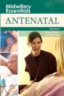 Midwifery Essentials: Antenatal E-Book : Midwifery Essentials: Antenatal E-Book - eBook