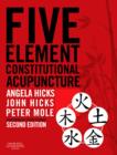 Five Element Constitutional Acupuncture - eBook