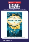 Brightstorm: A Sky-Ship Adventure - Book