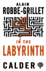 In the Labyrinth - Book