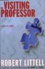 The Visiting Professor - eBook