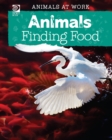 Animals Finding Food - eBook