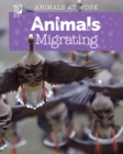Animals Migrating - eBook