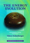 The Energy Evolution - Harnessing Free Energy from Nature - eBook