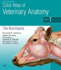 Color Atlas of Veterinary Anatomy, Volume 1, The Ruminants E-Book : Color Atlas of Veterinary Anatomy, Volume 1, The Ruminants E-Book - eBook