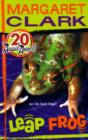 Aussie Angels 20: Leap Frog - eBook