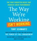 The Way We're Working Isn't Working : The Four Forgotten Needs That Energize Great Performance - eAudiobook