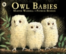 Owl Babies - Book