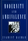 Modernity and Ambivalence - eBook