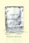Liquid Modernity - eBook