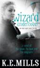 Wizard Undercover : Book 2 of the Rogue Agent Novels - eBook