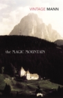 The Magic Mountain - Book