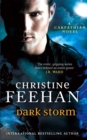 Dark Storm : Number 23 in series - Book