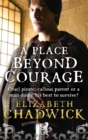 A Place Beyond Courage - Book