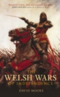 The Welsh Wars of Independence - eBook