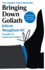 Bringing Down Goliath : How Good Law Can Topple the Powerful - eBook