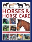 Horses & Horse Care : A directory of 75 breeds and practical advice on caring for your horse - Book