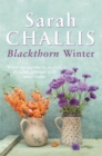 Blackthorn Winter - Book