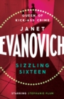 Sizzling Sixteen : A hot and hilarious crime adventure - eBook