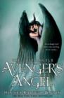 Avenger's Angel: Lost Angels Book 1 - eBook