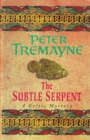 The Subtle Serpent (Sister Fidelma Mysteries Book 4) : A compelling medieval mystery filled with shocking twists and turns - eBook