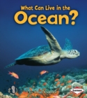 What Can Live in the Ocean? - eBook