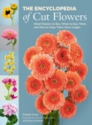 The Encyclopedia of Cut Flowers : What Flowers to Buy, When to Buy Them, and How to Keep Them Alive Longer - Book