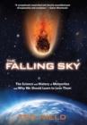 Falling Sky : The Science and History of Meteorites and Why We Should Learn to Love Them - eBook