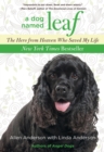 Dog Named Leaf : The Hero from Heaven Who Saved My Life (New York Times Best Seller) - eBook