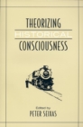 Theorizing Historical Consciousness - Book
