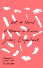 Not a Novel : A Memoir in Pieces - eBook